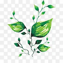 ��֦-������