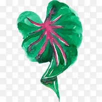 树叶-空若网 树叶-空若网