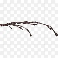 棕色树枝-空若网 棕色树枝-空若网
