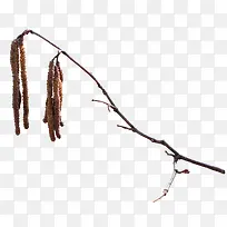 漂亮枯枝-空若网 漂亮枯枝-空若网