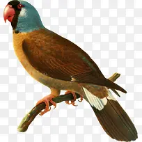 ��-������