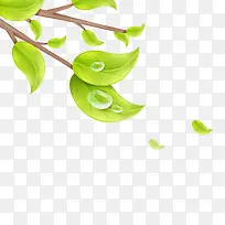 ��֦-������