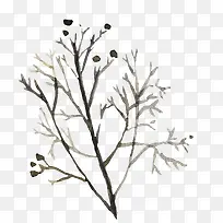树枝-空若网 树枝-空若网