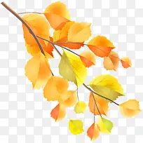 手绘叶子-空若网 手绘叶子-空若网