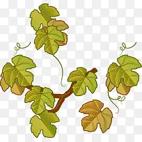 卡通手绘树枝藤蔓-空若网 卡通手绘树枝藤蔓-空若网