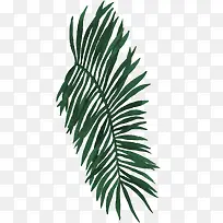 Ê÷Ò¶-¿ÕÈôÍø Ê÷Ò¶-¿ÕÈôÍø