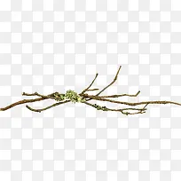 �ֻ���֦-������