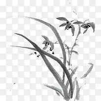 树-空若网 树-空若网