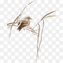 ��֦�ϵ�С��-������