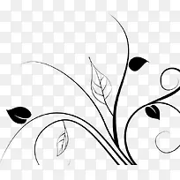 树-空若网 树-空若网