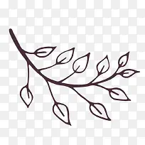 树枝-空若网 树枝-空若网