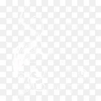 树枝线-空若网 树枝线-空若网