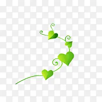 ��ͨ��Ҷ-������