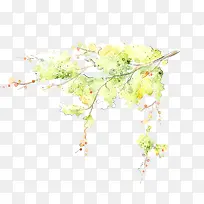 ˮ����֦-������