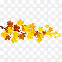 手绘枫叶-空若网 手绘枫叶-空若网