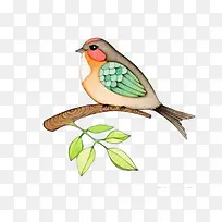 卡通小鸟-空若网 卡通小鸟-空若网