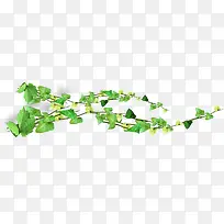 ��ɫ��֦�����ز�-������