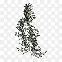 手绘树枝-空若网 手绘树枝-空若网