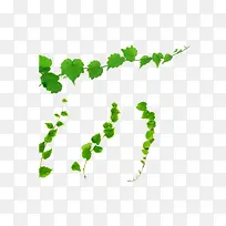 ÂÌÉ«Ê÷Ò¶Ê÷Ö¦-¿ÕÈôÍø ÂÌÉ«Ê÷Ò¶Ê÷Ö¦-¿ÕÈôÍø