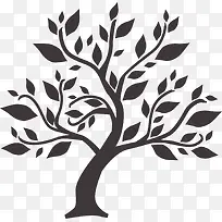 ��ͨ��֦-������