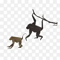 ��ֽͨƤ����-������