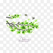 春天-空若网 春天-空若网