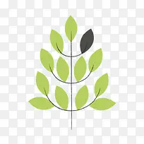 绿叶-空若网 绿叶-空若网