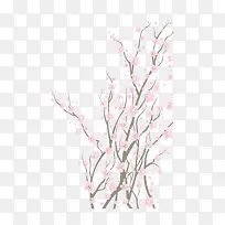 ��ͨ����Ψ���һ���֦-������