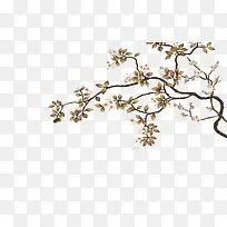 复古树枝-空若网 复古树枝-空若网