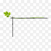 树枝-空若网 树枝-空若网