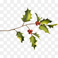 ��֦��Ҷ-������