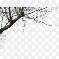 ��������ز�-������