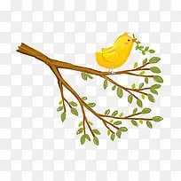 ��֦�ϵ�С��-������