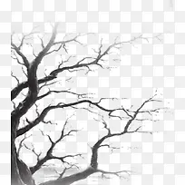 ��֦ͼƬ-������