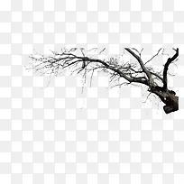 ��-������