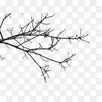 ��֦-������