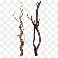 树枝-空若网 树枝-空若网