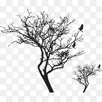 Ê÷-¿ÕÈôÍø Ê÷-¿ÕÈôÍø