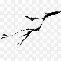 树枝-空若网 树枝-空若网