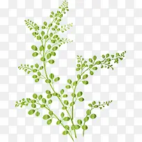 ��֦-������