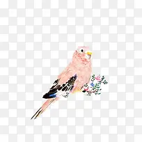 水彩小鸟-空若网 水彩小鸟-空若网
