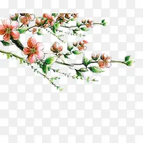 �ֻ��һ���֦����Ҷ��-������