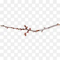 º£±¨Ö²ÎïÊ÷Ö¦»¨°úЧ¹û-¿ÕÈôÍø º£±¨Ö²ÎïÊ÷Ö¦»¨°úЧ¹û-¿ÕÈôÍø