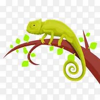 变色龙在树枝上-空若网 变色龙在树枝上-空若网