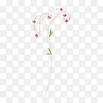 枝叶-空若网 枝叶-空若网