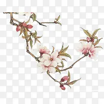 �ֻ��һ���֦-������