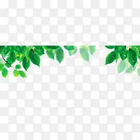 叶子底纹-空若网 叶子底纹-空若网