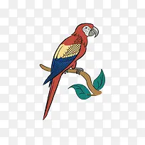 矢量卡通鹦鹉-空若网 矢量卡通鹦鹉-空若网