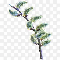 桃枝-空若网 桃枝-空若网