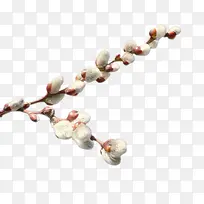 桃枝-空若网 桃枝-空若网